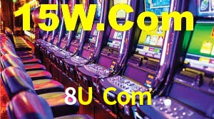 Premium Interface 8U Com